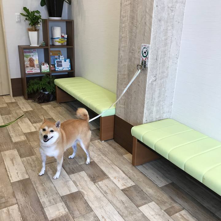 2c0d5e9a 142b 440b 9449 3463eda32084