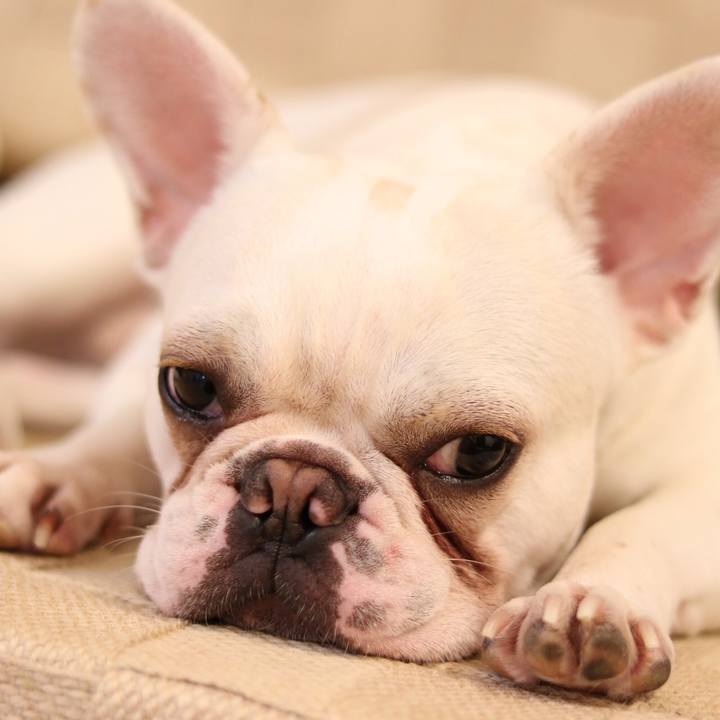 2c0e150c 5912 47be b9ff 5e8cd1a8af86