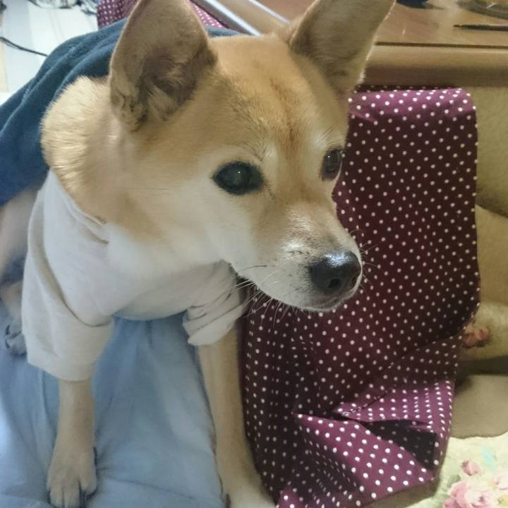 2c0e52c0 2c45 47fb 910f 56e131b37e80