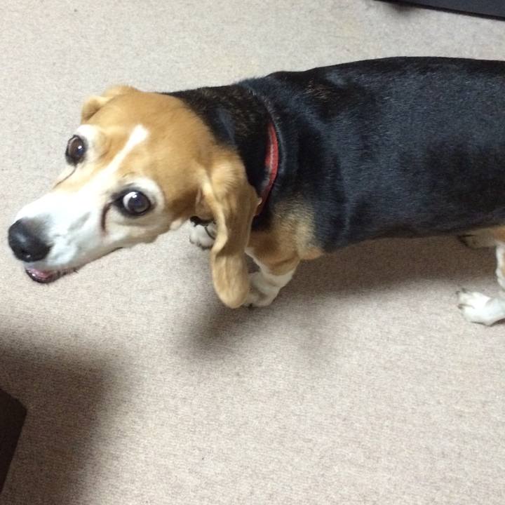 2c0eec43 7aa9 43e0 bdc7 58965f9f9853