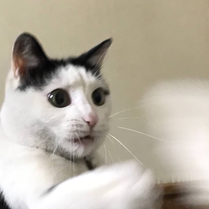 2c0f7bfd f1cb 4bf4 8e7f 4b88682e26aa