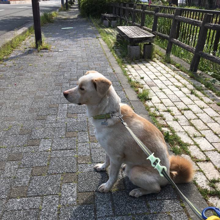 2c10525f 6fa2 4fee afb9 406ccadf11c7