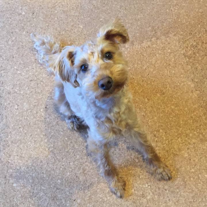 2c10bc84 5790 4dd4 8f1c ff5869b54001