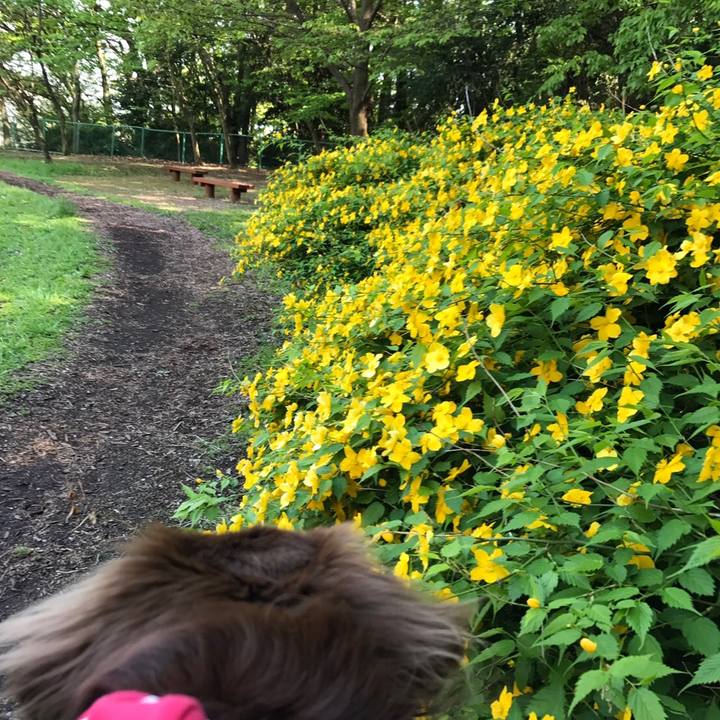 2c10cf12 5aaf 40fc a6e0 789173367bbf