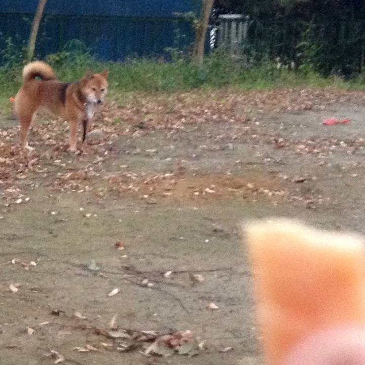 2c10eae4 4b57 4924 b9c4 bd47d8f06e96