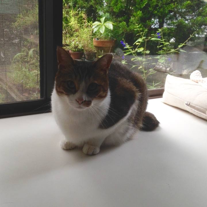 2c1126b5 e049 4fd1 af7e 45ab92eb27f4