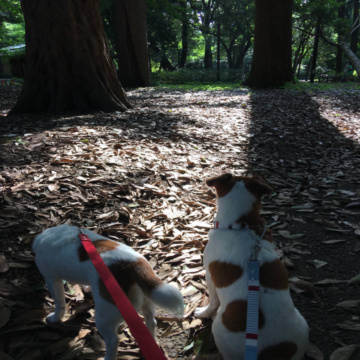 2c114db4 bb9f 4f7a b826 be5e373750df