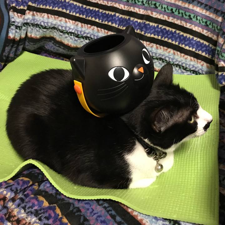 2c117bc2 11d0 497b 83d3 d5e1301ae2ba