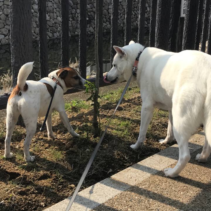 2c118914 a04c 4cd3 95d6 cefb0e9f814a