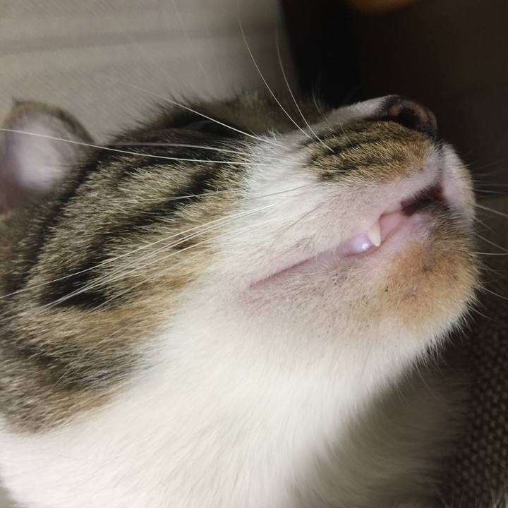 2c12c47d f9e5 407f 9ca6 cb4fc8811a8b