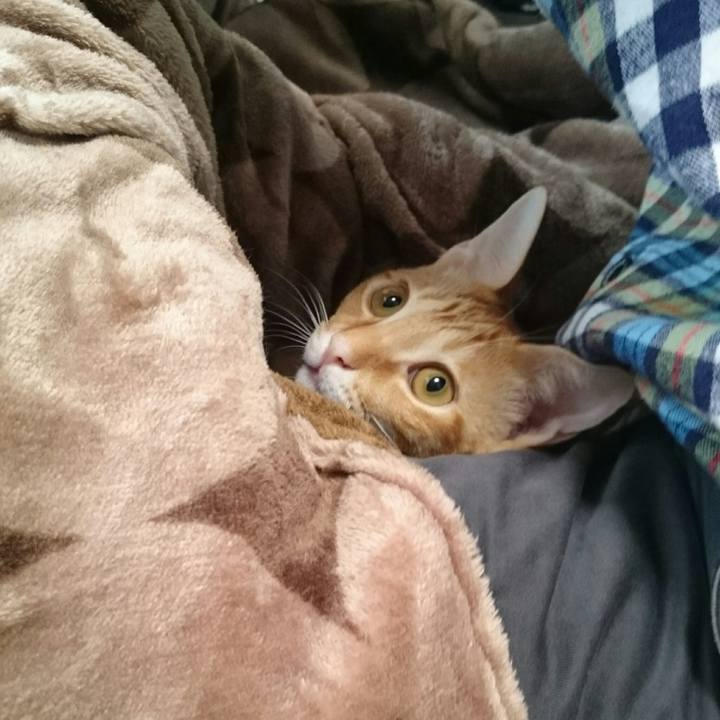 2c12fe61 4c8f 49d6 ac82 4d21e83ffde1