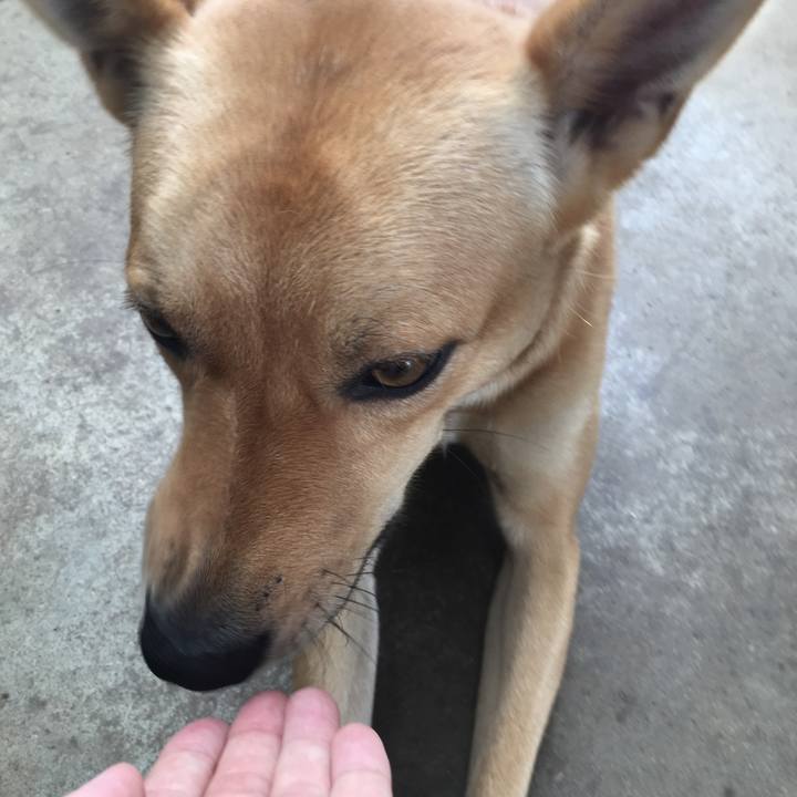 2c13c277 4bb9 4f85 9b9d 49550f710034