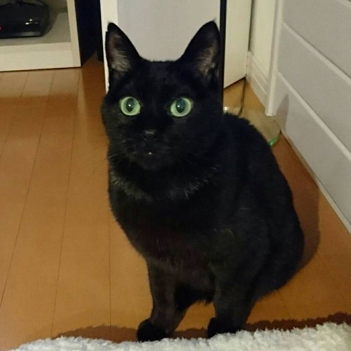 2c13d251 39b1 4989 b30c 3c13f14225f9