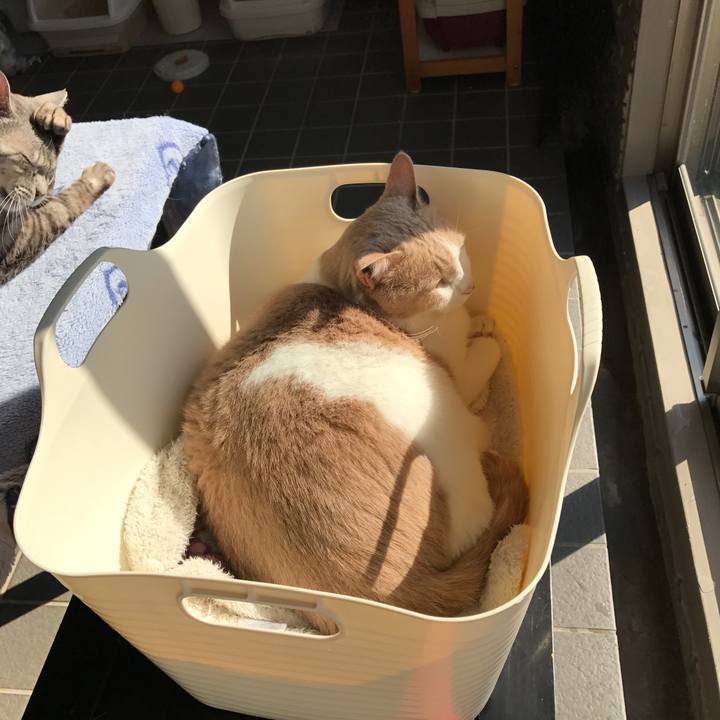 2c147e83 b86e 4c51 8566 69fcd48f7596