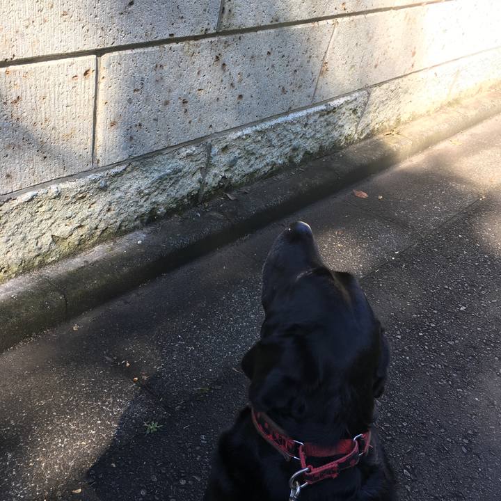 2c14a32f e2ba 41a8 ab73 adf6def80875