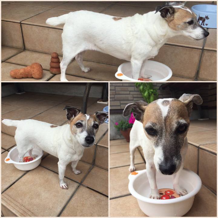 2c150df1 fbd4 407d 9978 0c7f6113fcf4