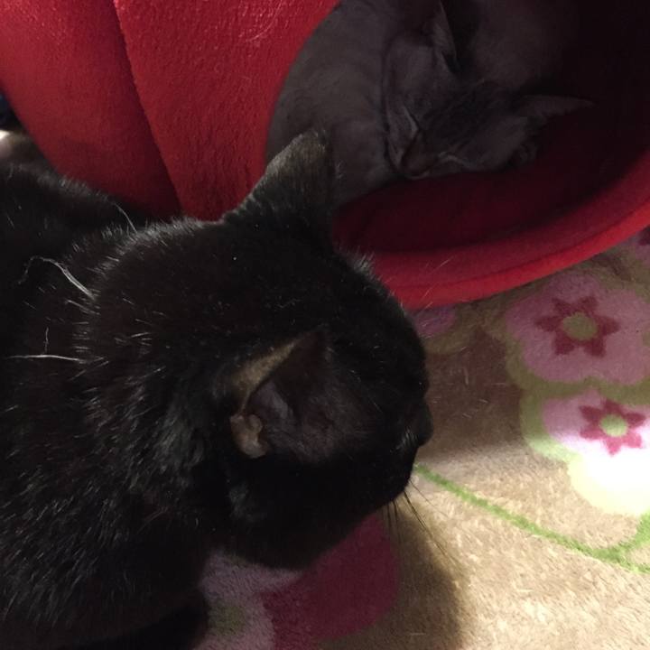 2c155300 4da2 4382 a404 29c07ac3d74e