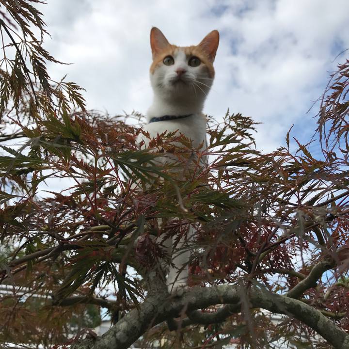 2c16469f a1eb 4ed5 b7f6 23865b17d637