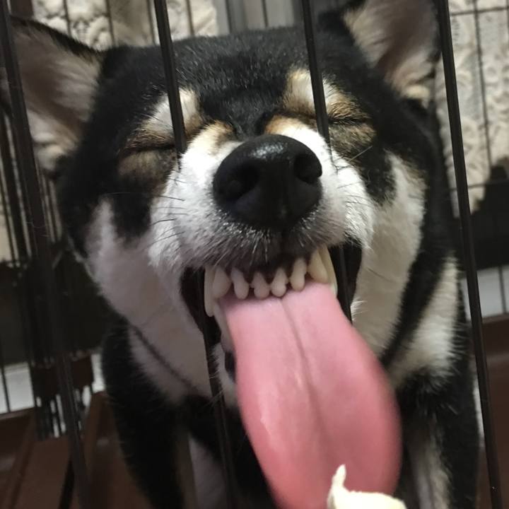 2c170d16 ba7c 4a41 86c2 6a58358f329d