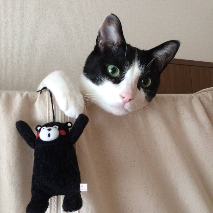 2c1742b1 19bb 4890 86d7 db58deb3ee57