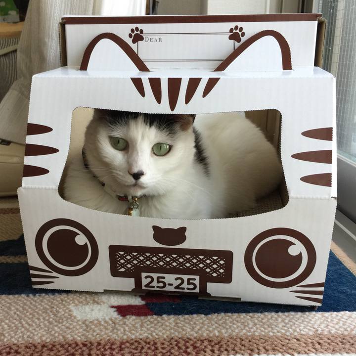 2c179994 3201 4c48 8199 8885c858f871