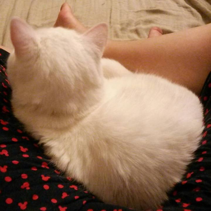 2c183c86 d211 4817 a074 4602d0417aeb