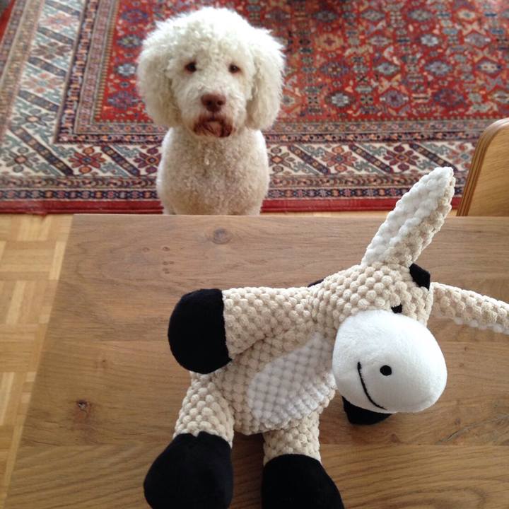 2c18bb5b 863a 41e4 9ac9 49f3ecc03de2