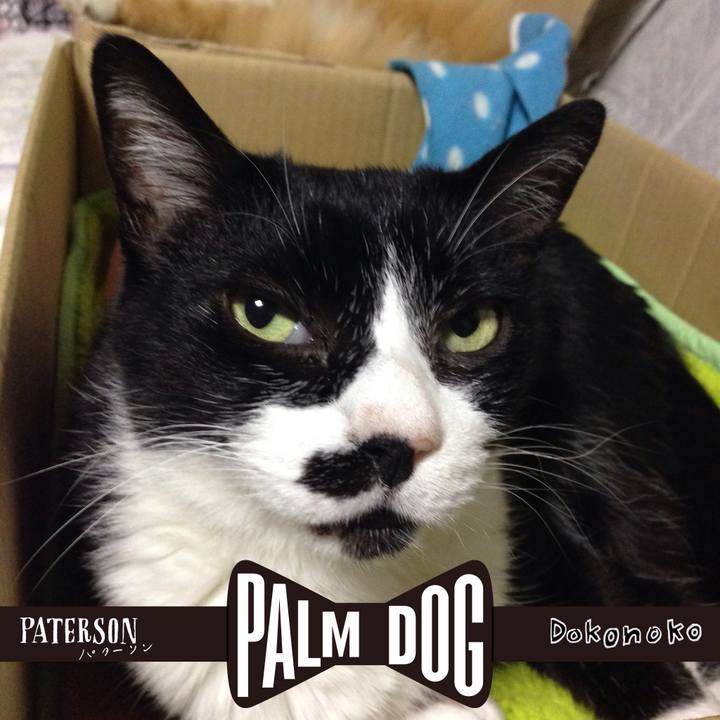 2c18bb8e 5667 4c53 a103 9f093d61c4d0