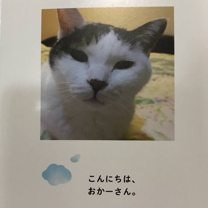 2c18bec5 5789 4d1b b587 bf24b381bf70