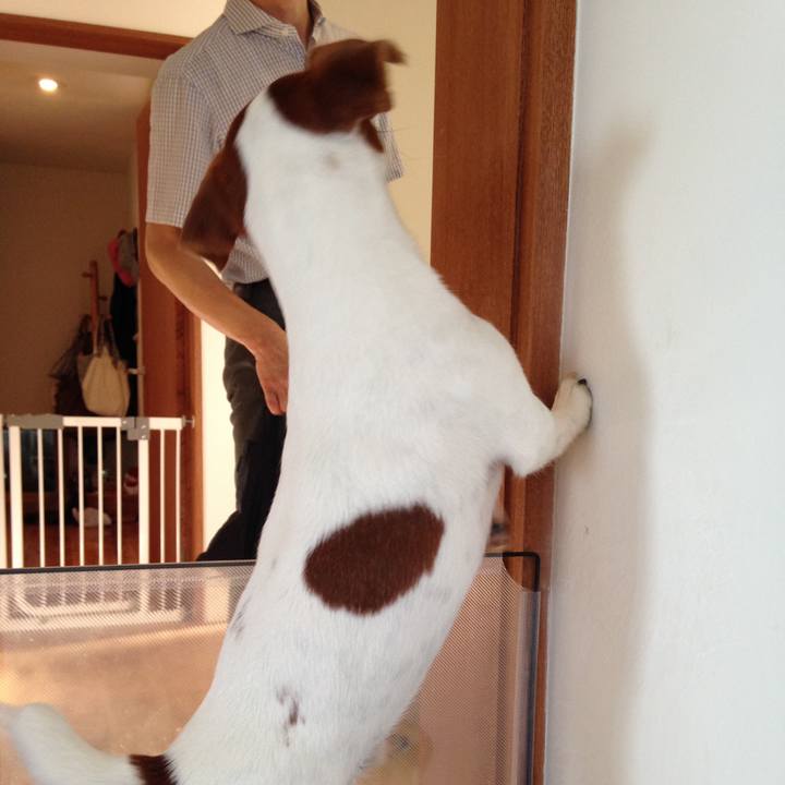 2c194bc9 a4a8 4945 a45d acee14273844