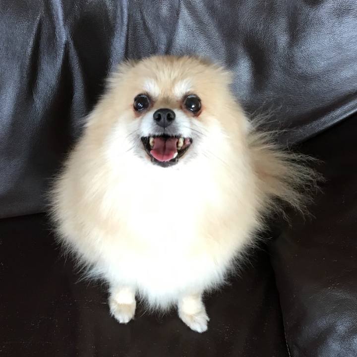 2c1959df e625 48cf a17f dfeea3624547