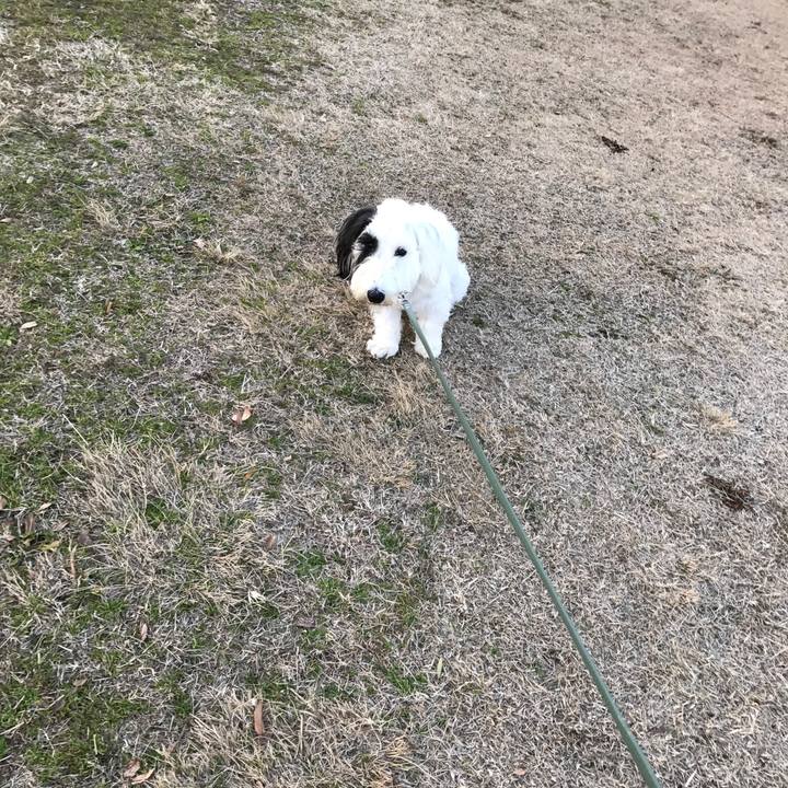 2c197f31 2e21 4a2f 8b28 148a27e5ee88