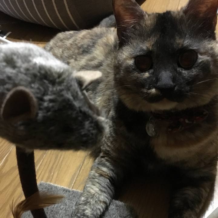 2c19a6cc df01 46f8 b48f 66f9180c6f87