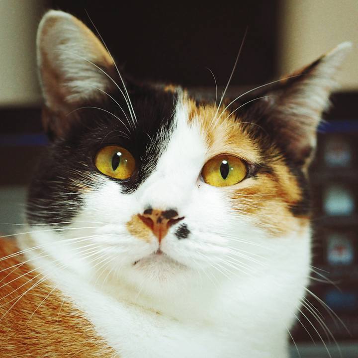 2c19ae83 8d69 4efa 85e9 f16338332f59