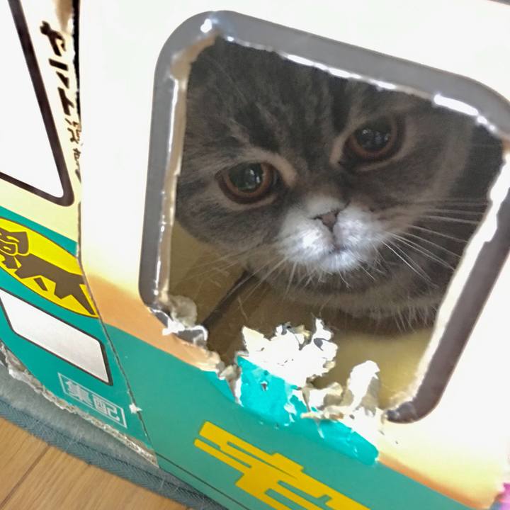 2c19ec3b 5fdf 400e 9bfc d74cd37da7f2