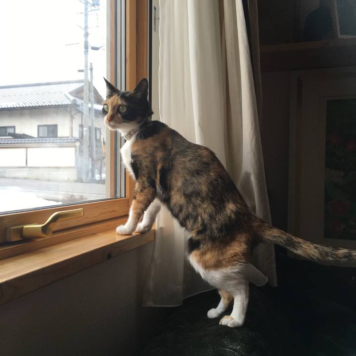 2c1a4a0f 8810 44f9 99cc c4ff9d558fe0