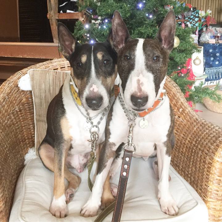 2c1abf7b 1e0a 44c9 9275 8a696dc6218e