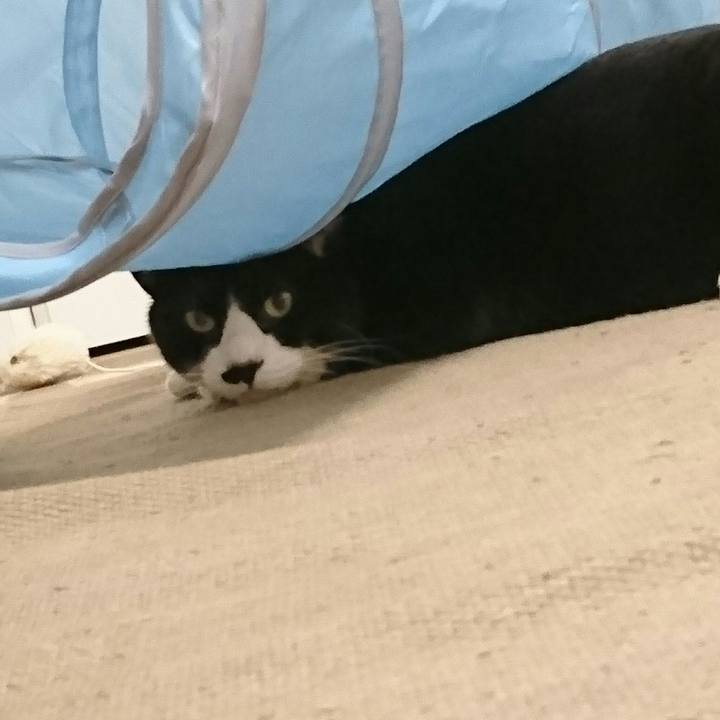 2c1b025a f8dc 43b4 b680 82877213fe50