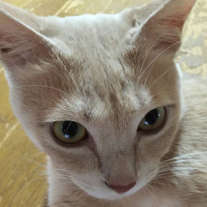 2c1b15d9 5ebc 41c3 b311 22235be9b85a