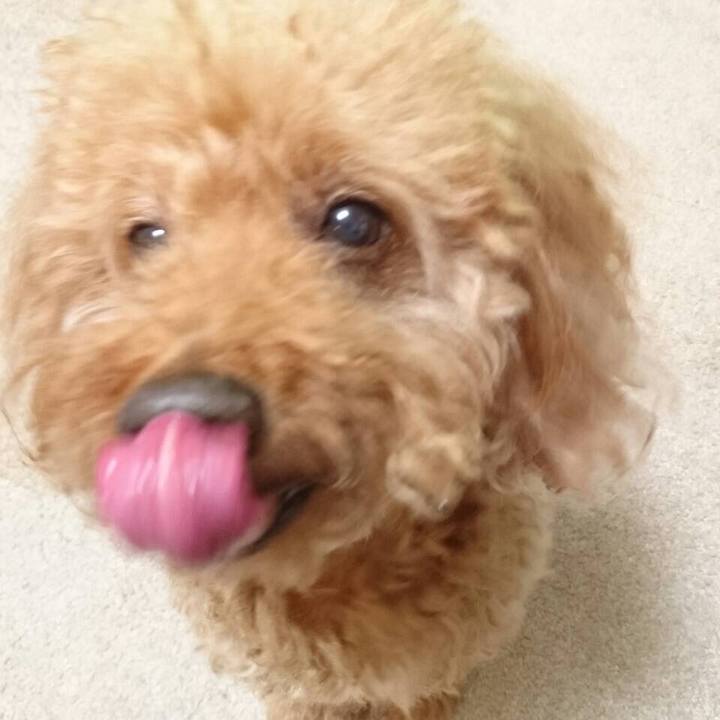 2c1b4b20 82d1 4a89 9b1b d7718fc3581e