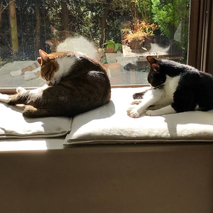 2c1b89b7 688b 40bc 8c04 2ca8844c02d4