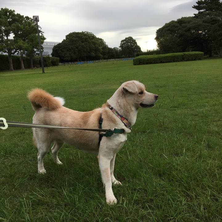 2c1b8f23 f0ae 47ea 9a8f 3a6a57b6cf0c