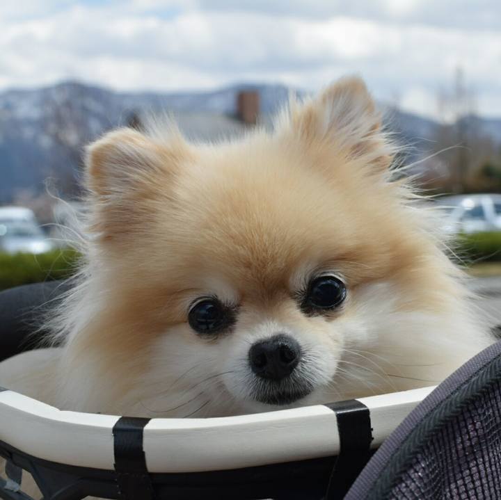 2c1c5e1d e8e6 4e0f b19c b088e1b996a0