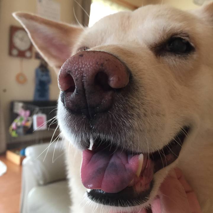 2c1c7a56 0955 47d2 8727 d3dc289937b2