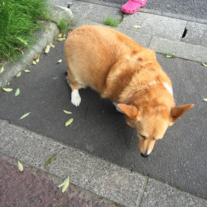 2c1dd1f9 4e62 4663 a253 23b9774310cf