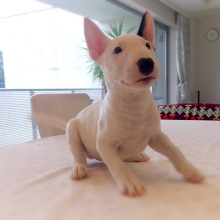 2c1e2d0b 0619 4e59 a173 d7d8c9e75c64