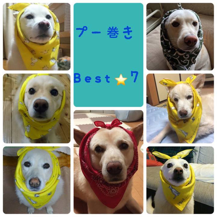 2c1e93de 7c38 43be 8ee3 a8ae276307d5