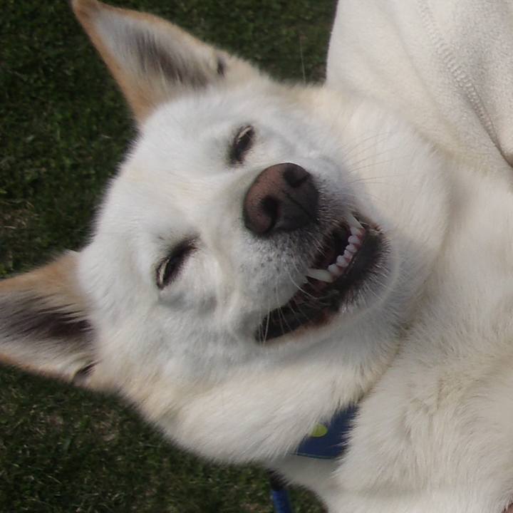 2c1f1adc 79fd 4cf3 9044 1b083b3ca8bc