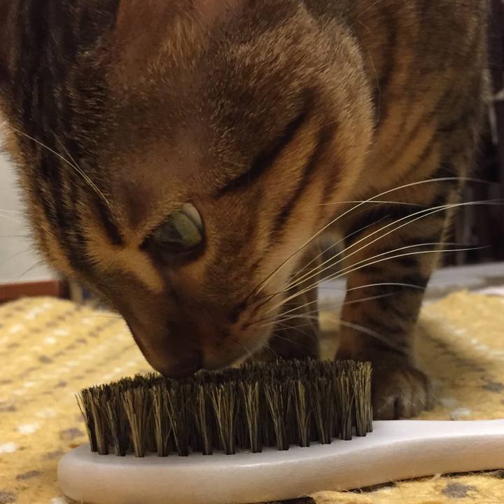 2c1f255c 4d4a 47b4 b334 8912a10627e2