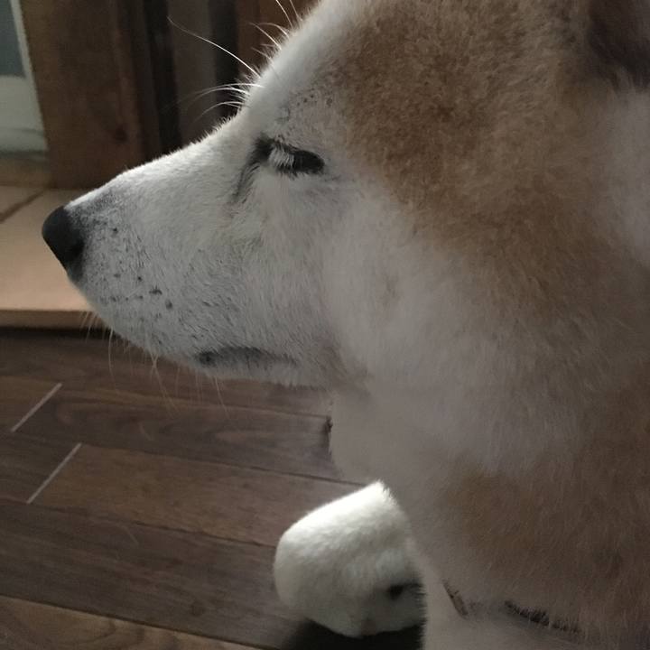 2c20689e f541 4223 bd7d 9ec25dba940f